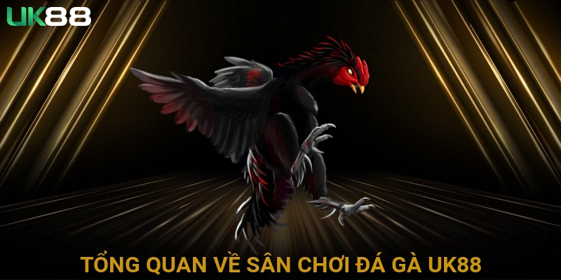 Tổng Quan Về Sân Chơi Đá Gà UK88