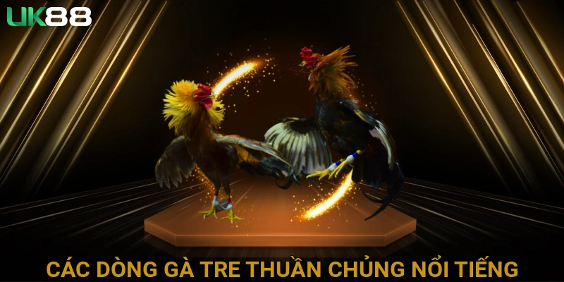 Các dòng gà tre thuần chủng nổi tiếng