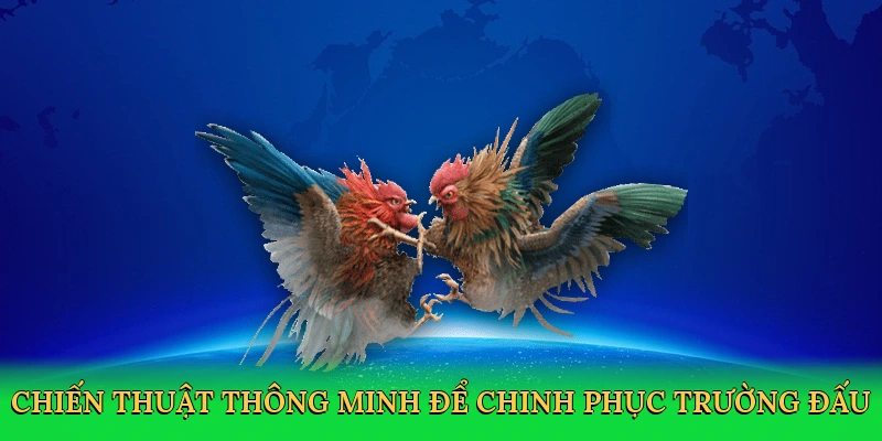 Chiến thuật thông minh để chinh phục trường đấu
