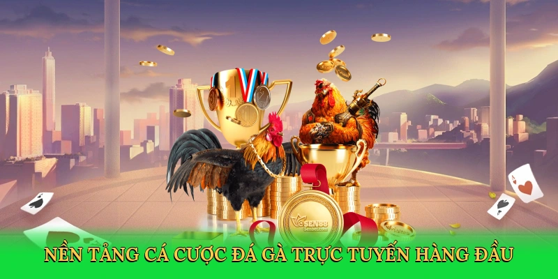 Nền tảng cá cược đá gà trực tuyến hàng đầu