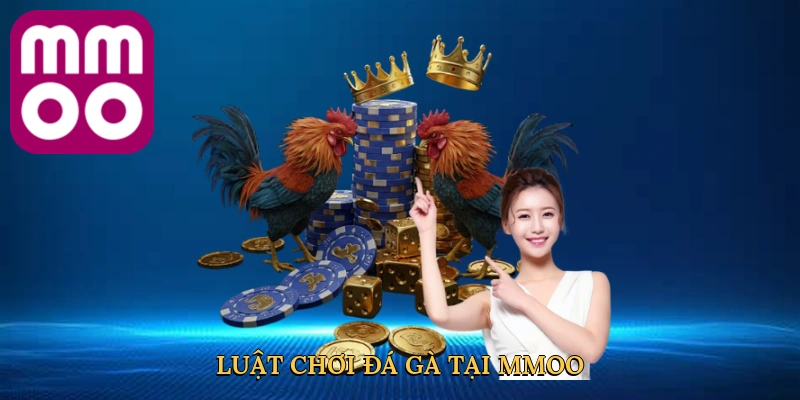 Luật chơi đá gà tại MMOO dẫn đầu xu hướng cá cược chuyên nghiệp