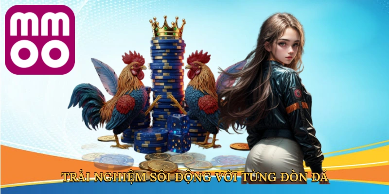 Trải nghiệm sôi động với từng đòn đá